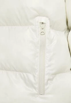 Nike Sportswear W Nsw Tf Synfl City Hd Jkt - Winter Jacket - Light Bone/Black -Clothing Category Store ead6834305b544598856da519f63669a